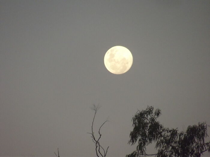 I Thought The Moon Was Really Pretty Tonight