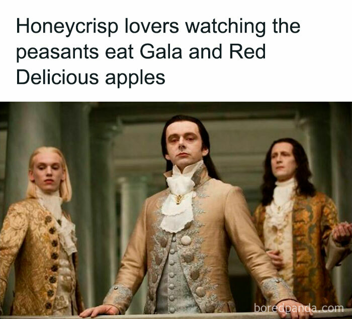 🍎 I’m Sorry, I Can’t Hear You Over The Crunch Of This Expensive Apple 💅 #applegram🍏
•
follow Me At @mommymemejeans For More 🍎🍏🍎
#mommymemejeans