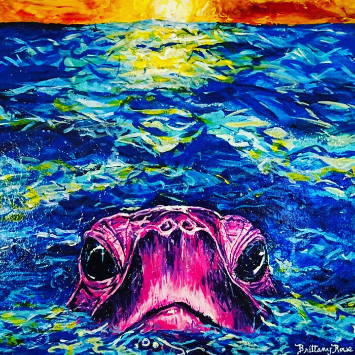 Bob The Loggerhead Turtle