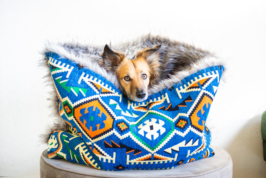 I Started Making Anti-Anxiety Dog Beds By Hand And Now Make Them For People Too I Started Making Anti-Anxiety Dog Beds By Hand And Now Make Them For People Too