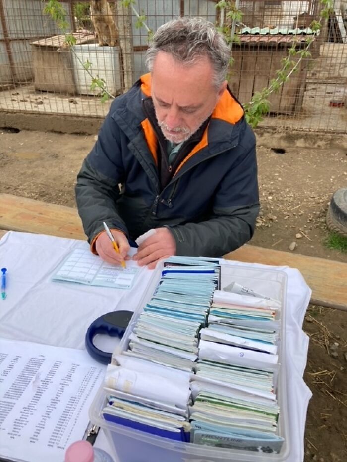 Thanks To All Pandas, We've Been Able To Help Thousands Of Animals Across War-Torn Ukraine And Here's Your Funds In Action