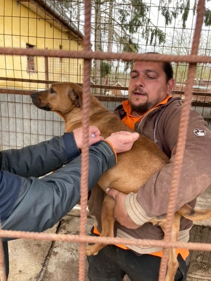 Thanks To All Pandas, We've Been Able To Help Thousands Of Animals Across War-Torn Ukraine And Here's Your Funds In Action