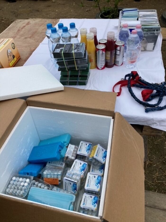 Thanks To All Pandas, We've Been Able To Help Thousands Of Animals Across War-Torn Ukraine And Here's Your Funds In Action