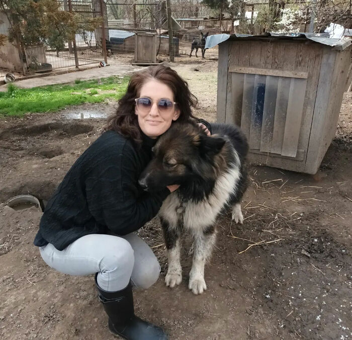 Thanks To All Pandas, We've Been Able To Help Thousands Of Animals Across War-Torn Ukraine And Here's Your Funds In Action