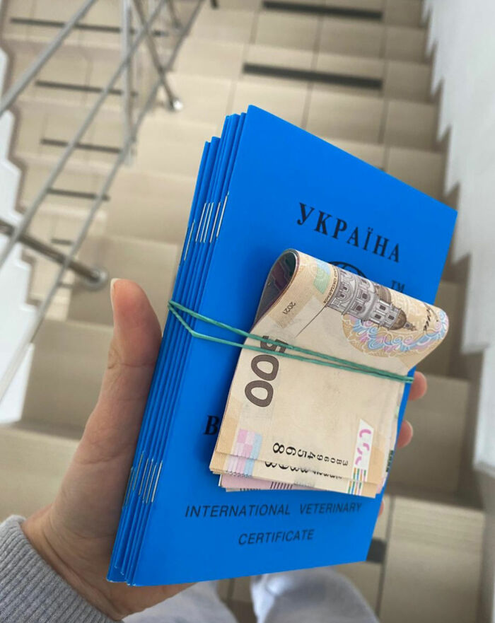 Thanks To All Pandas, We've Been Able To Help Thousands Of Animals Across War-Torn Ukraine And Here's Your Funds In Action