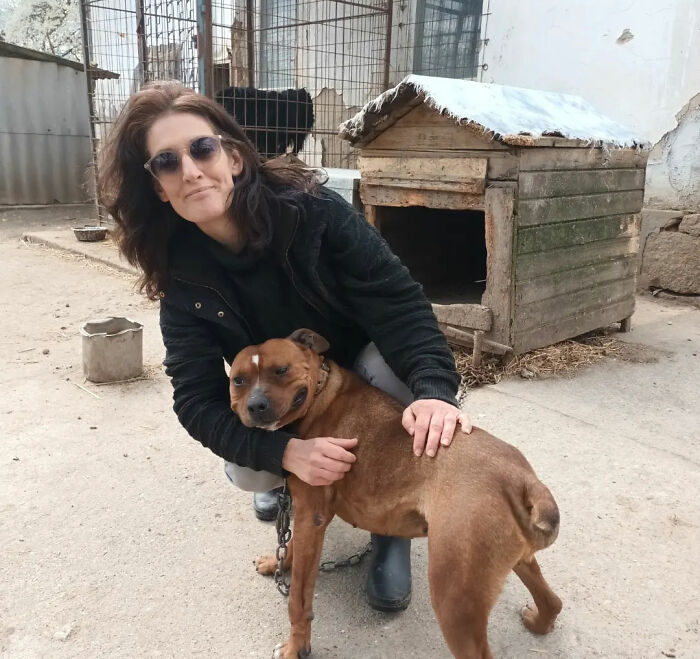 Thanks To All Pandas, We've Been Able To Help Thousands Of Animals Across War-Torn Ukraine And Here's Your Funds In Action