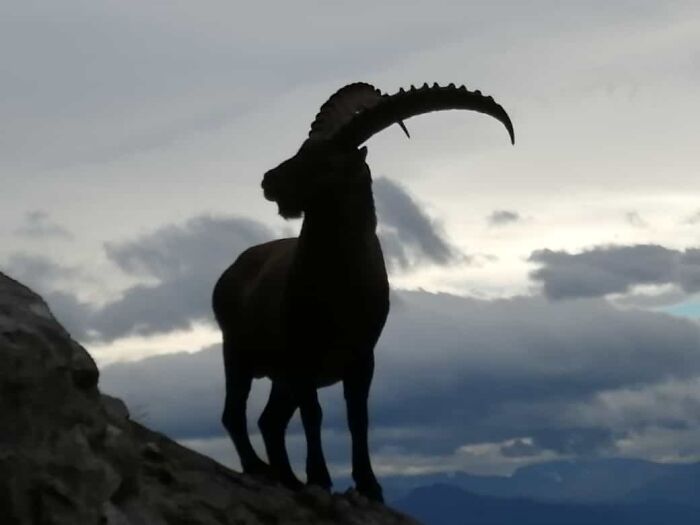 Austria, Tirol, Im Gebirge