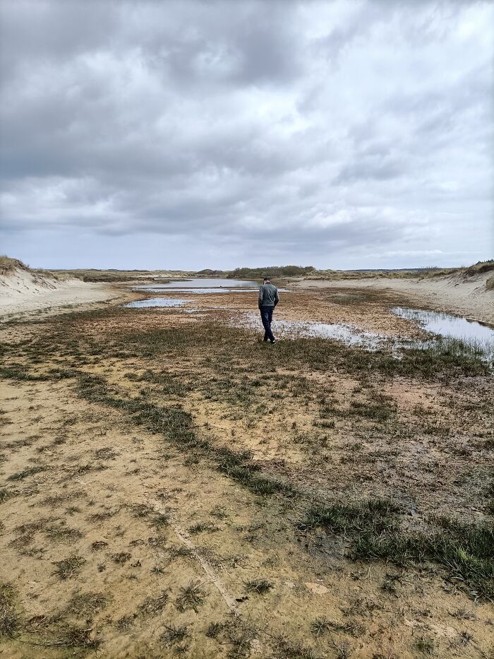 Dune Area On Terschelling, The Netherlands