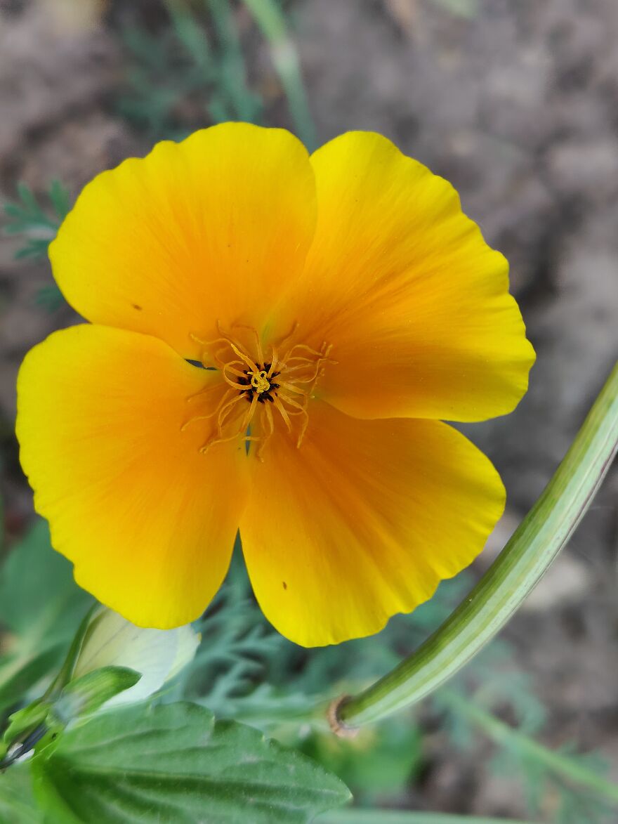 Nature Beauty