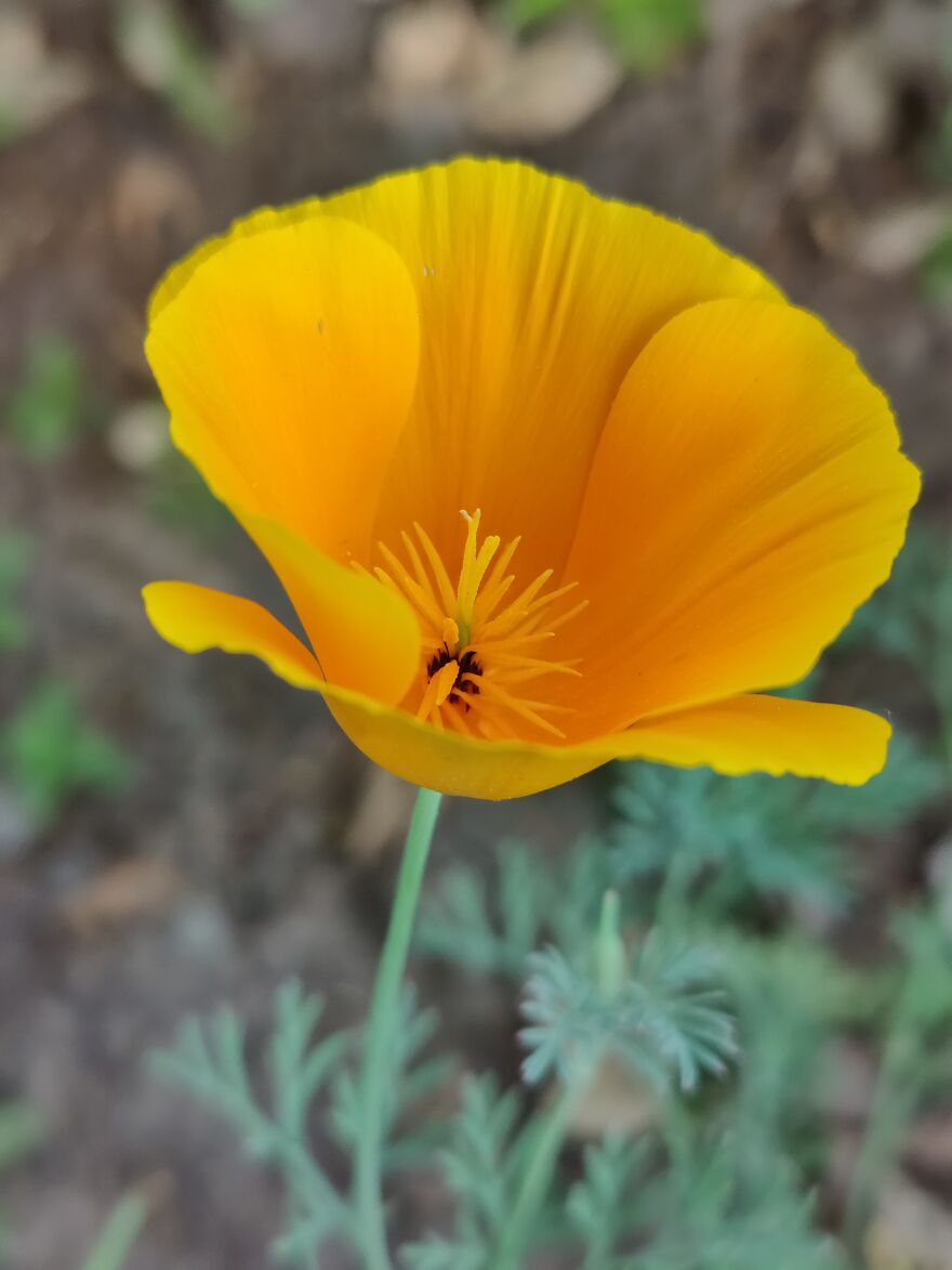 Nature Beauty