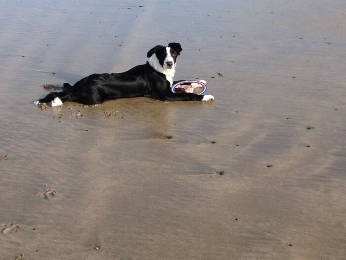 Shilo Cooling-Off By The Sea