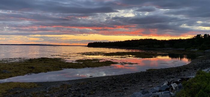 Seal Cove, Me. My Favorite Place In The World.