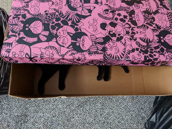 Whatever Could Be In Here?