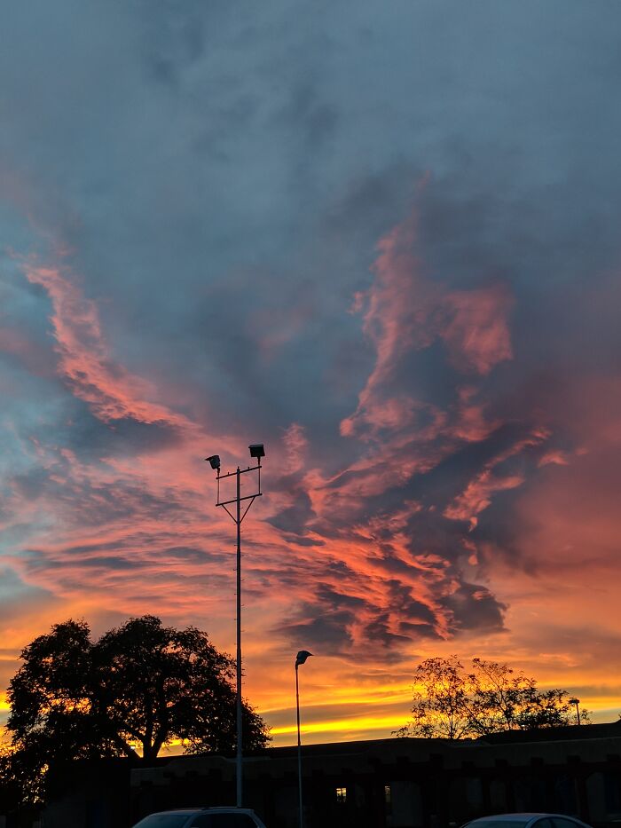 Not Sure, But I Thought It Looked Cool