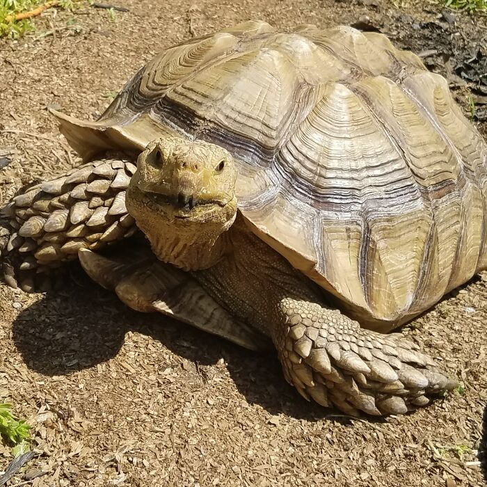 My Malfoy Soaking Up The Sun,knowing How Sexy He Is.