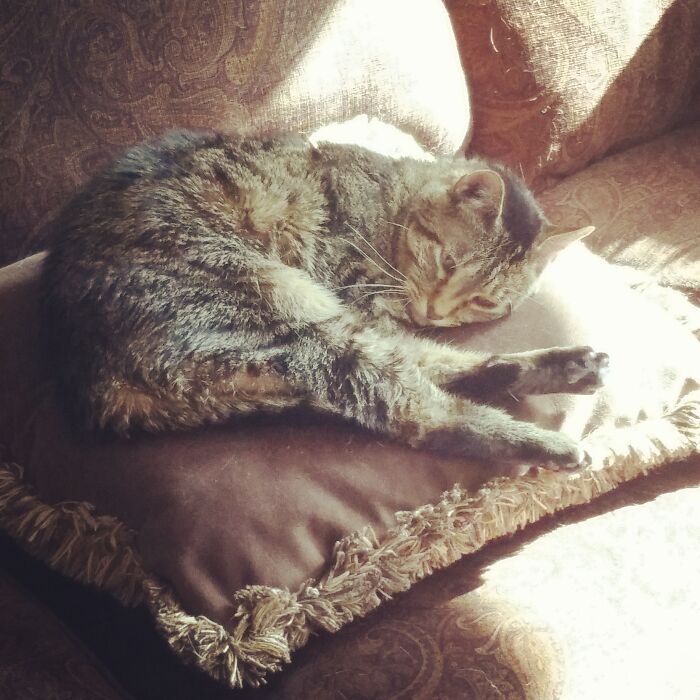 Belladonna Vixen, Soaking Up Those Rays