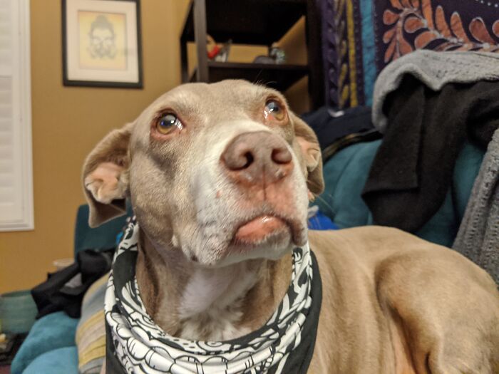 Mama, My Lip Is Stuck Again!