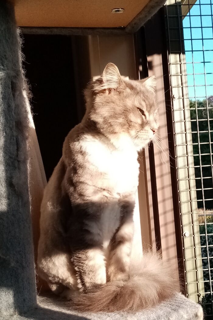 Loving That Sunshine...