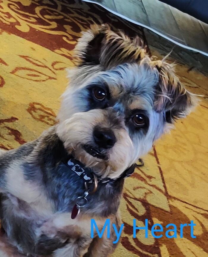 This Boy Has My Whole Heart ❤️