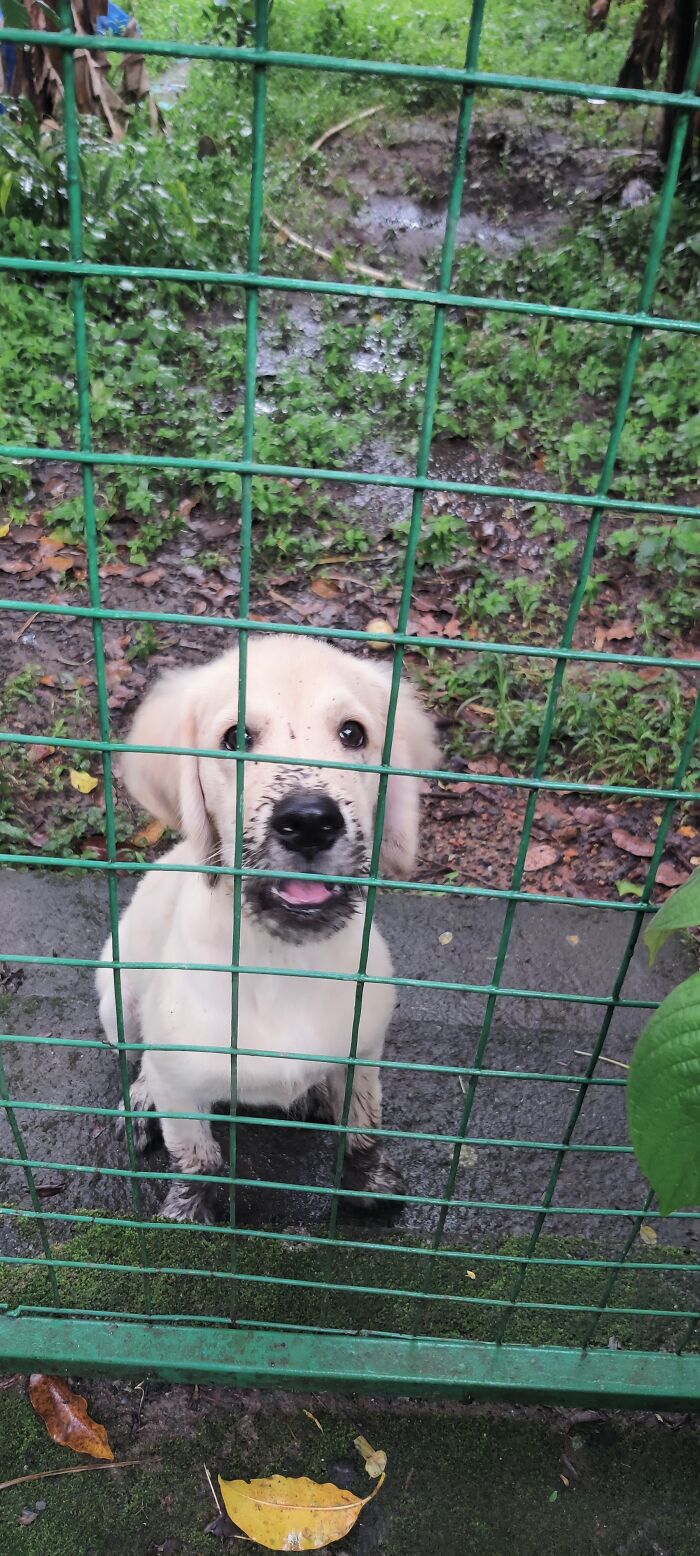 I Gave Him A Bath And 5 Minutes Afterwards.