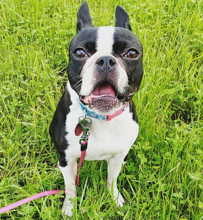 She Got Impatient And Started Talking Back. "Enough Pics Momma!"