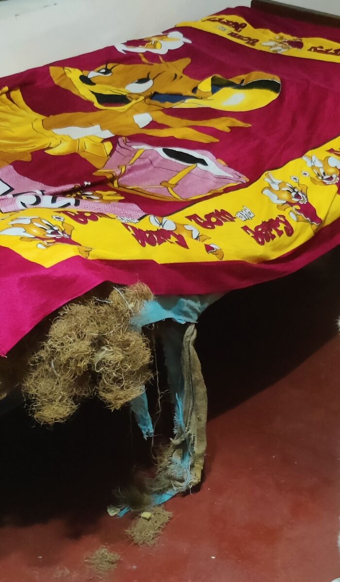 This Used To Be My Bed