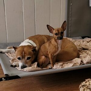 leticiarosario avatar