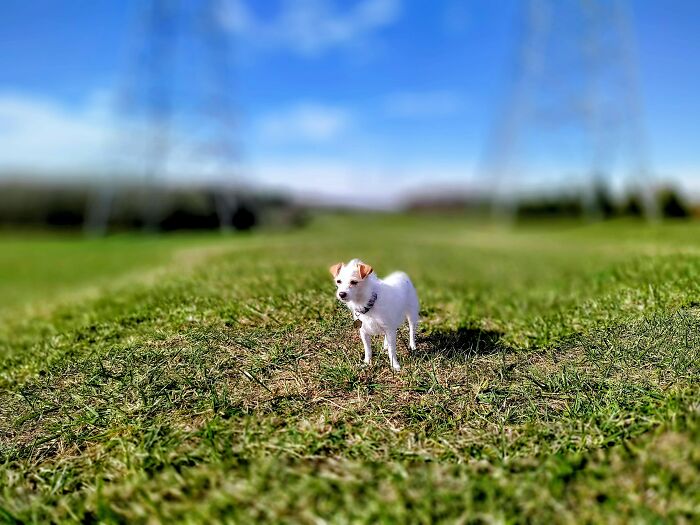 Summertime With Josie/Verano Con Josie = Germantown, Maryland.