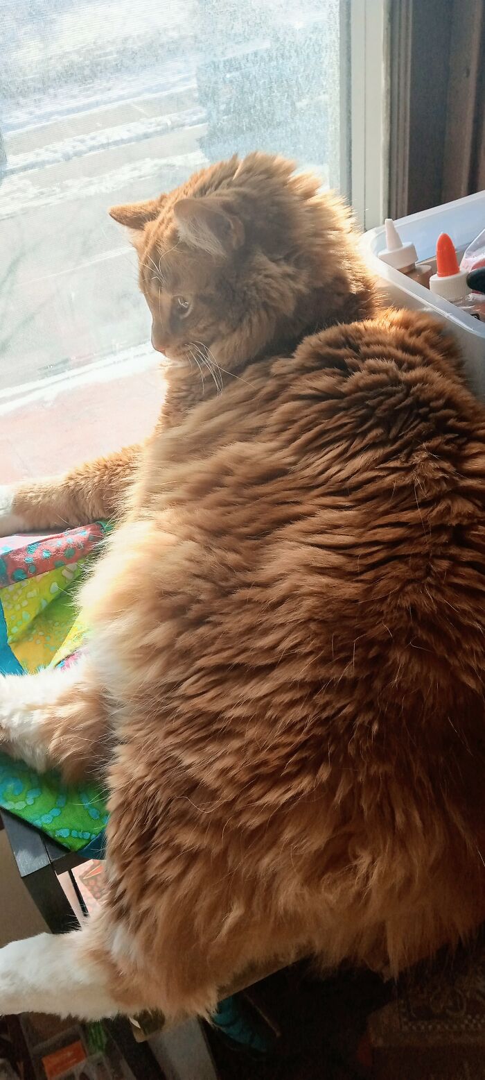 Soaking Up Some Rays