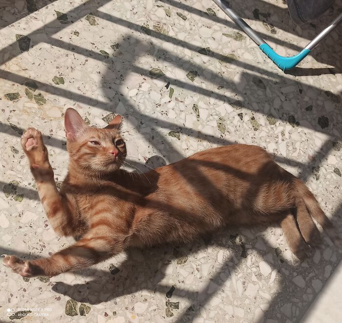 Origin Gets Warm And Annoyed At The Same Time 😑😑😑