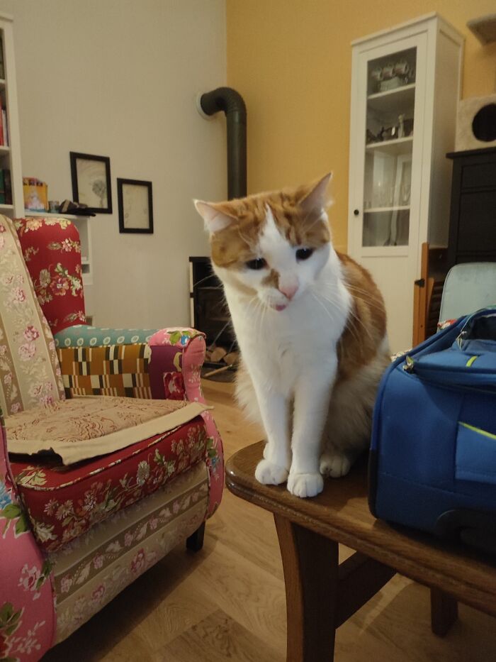 He Is Very Photogenic. 99% Of The Time At Least.