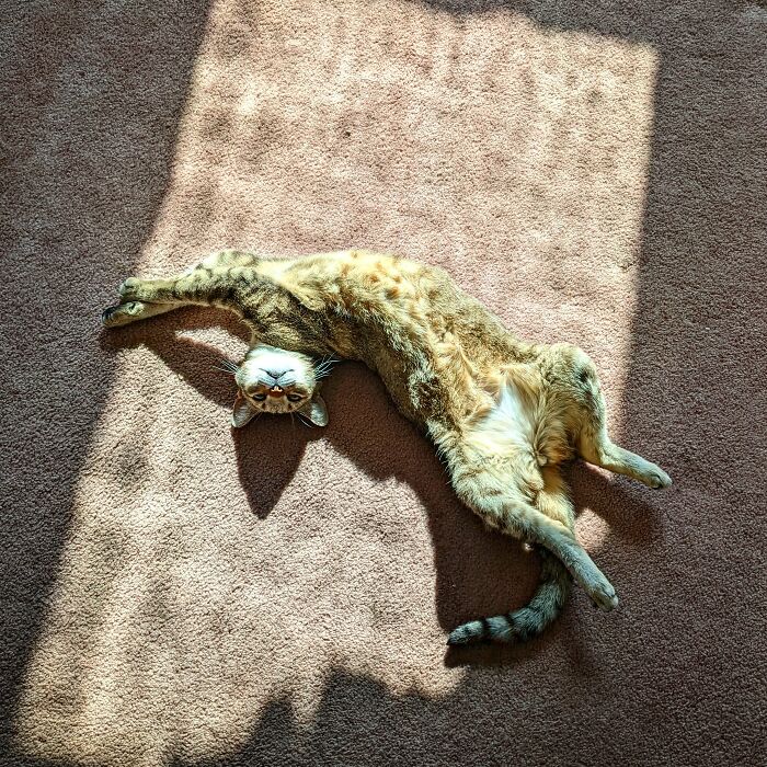 Ember: Non-Euclidian