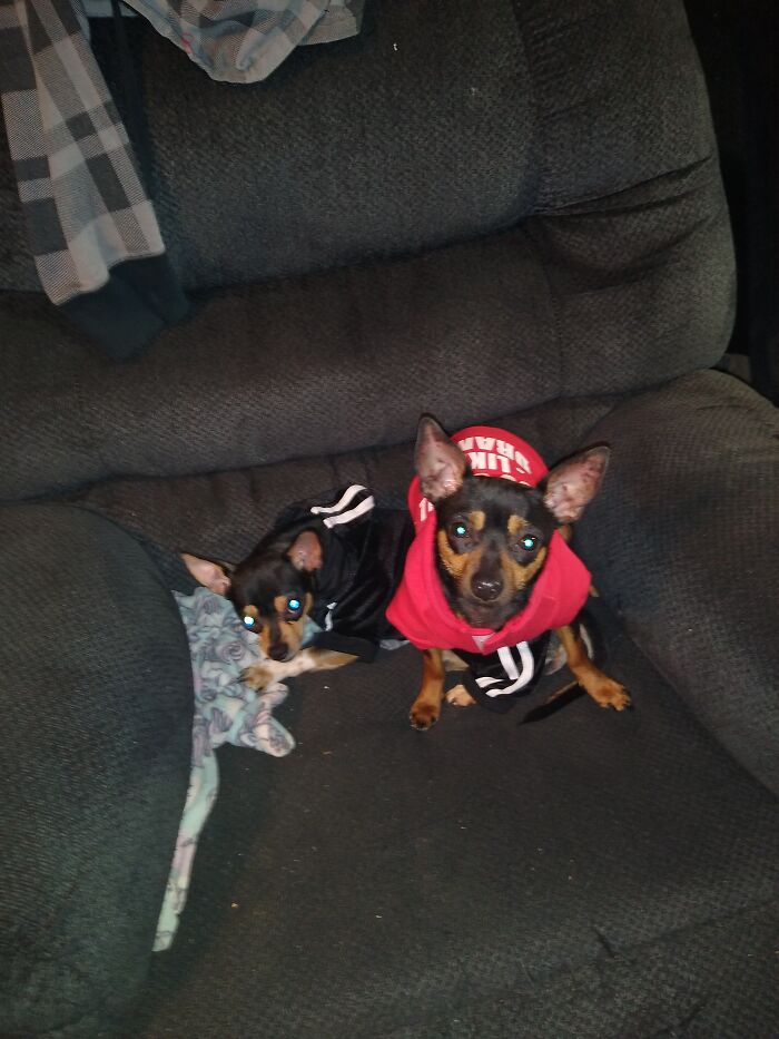 Meet Stitch And Sharia