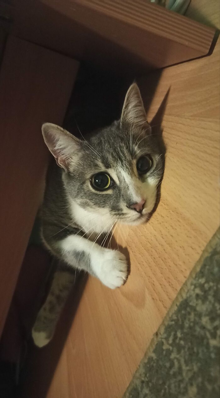 Literally The First Time I Managed To Take A Picture Of Her