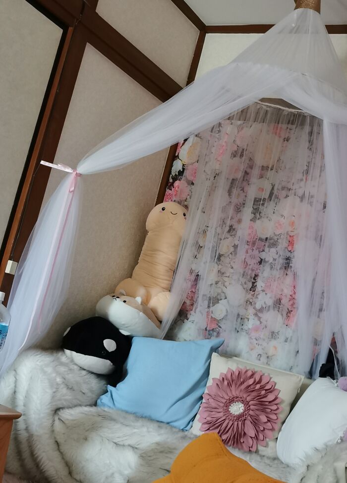 A Penis Plushie On My Couch.