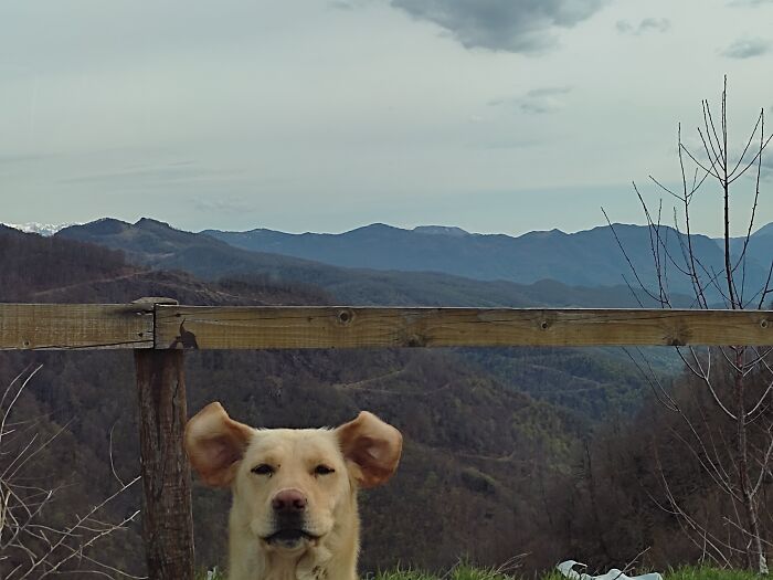 I Wanted To Photograph The View...