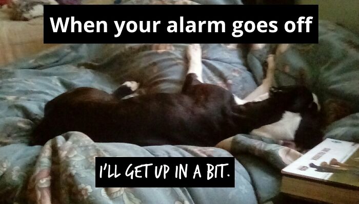 Lilo's Words Of Wisdom