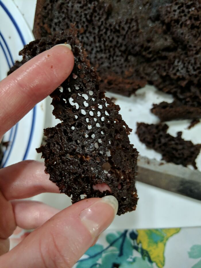 Cake. Gummy, Holey Cake