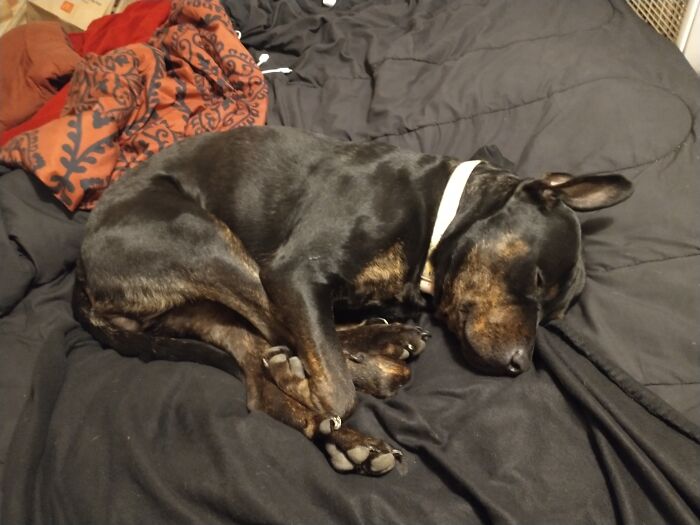 Lili She's A (Big) Tiny Baby