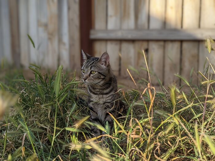 He Loves The Outdoors
