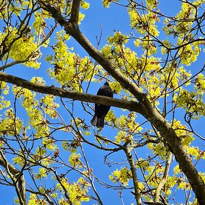 veronicavergara87 avatar