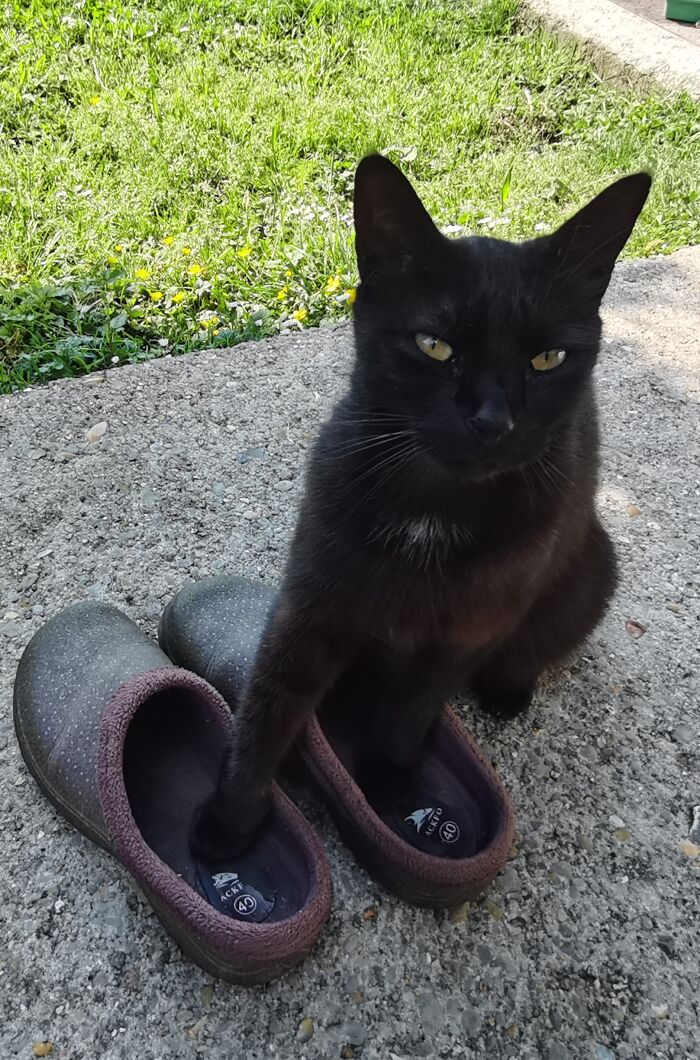 Reserved Feeting Only.