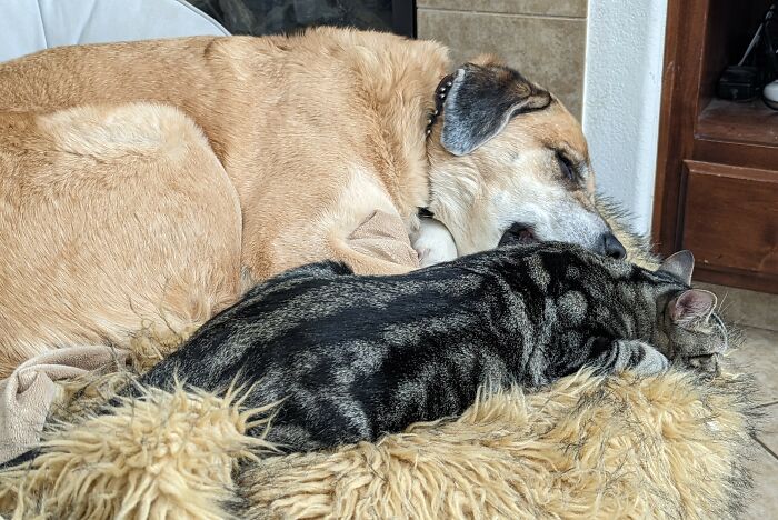 Enjoying The Sun Together ☀️