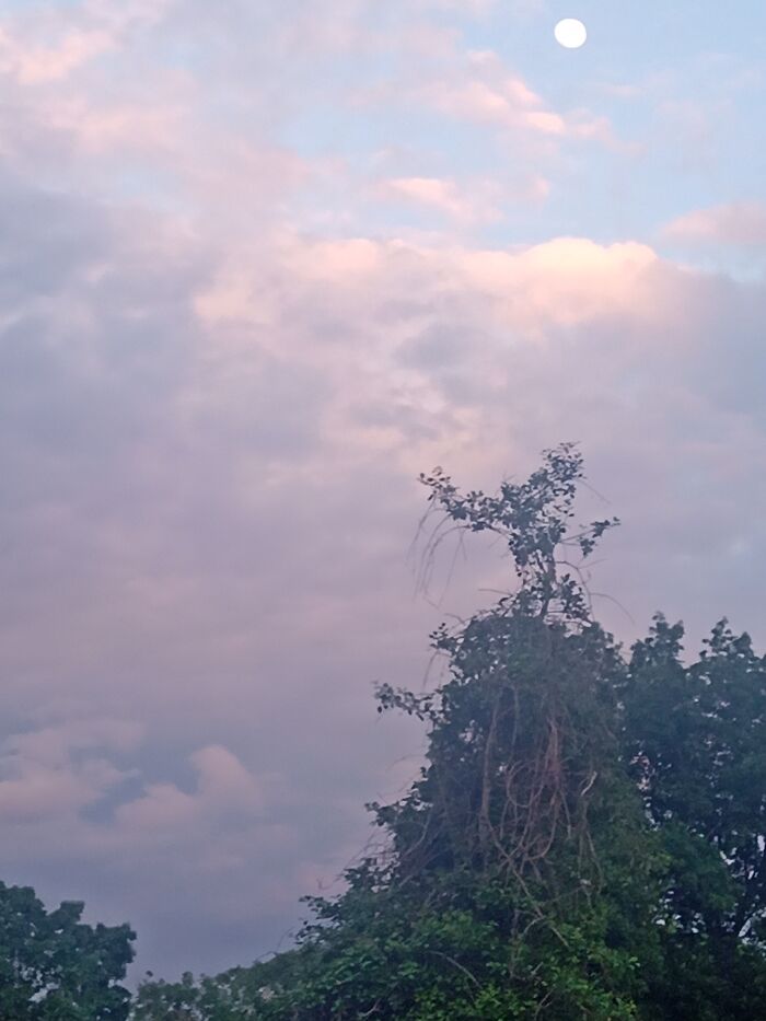 A Neat Little Picture I Took A Couple Weeks Ago