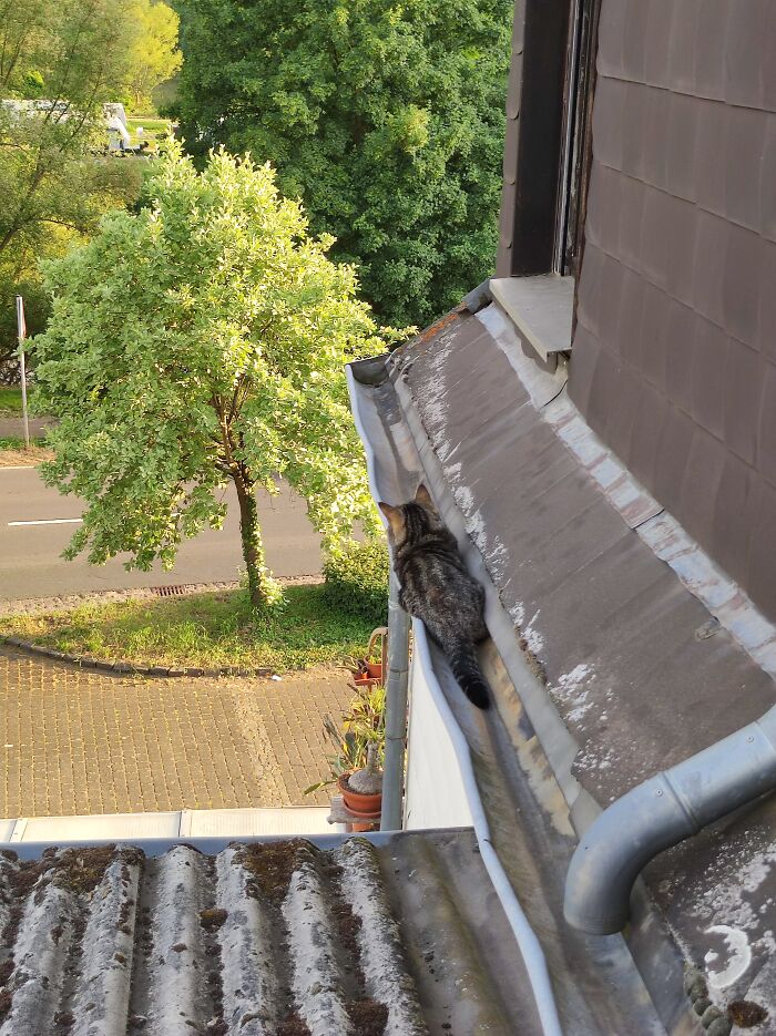 Great Place To Relax