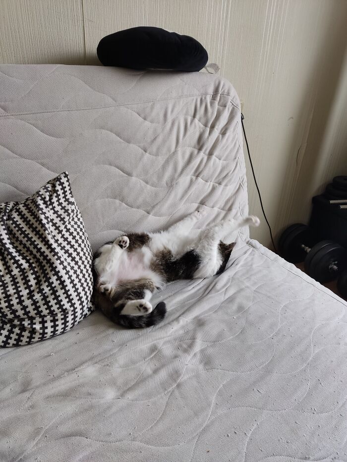 When The Temperature Is Just Right