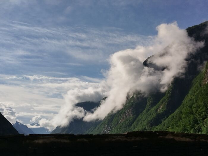 View Of My Window, This Morning