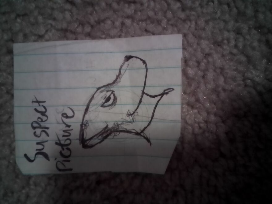 Some Drawings I Drew During Covid-19