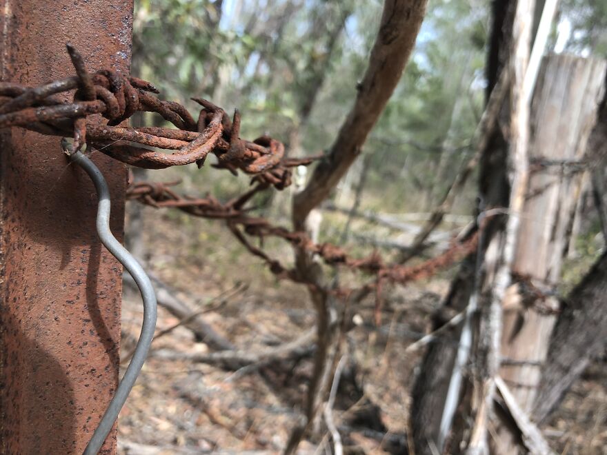 Mildly Good Photography By Me (8 Pics)