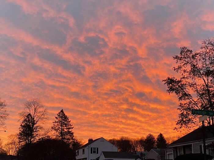 One Morning, Leapt From My Bed When The Room Was Glowing, Ran Down Stairs To Get This Shot With Seconds To Spare